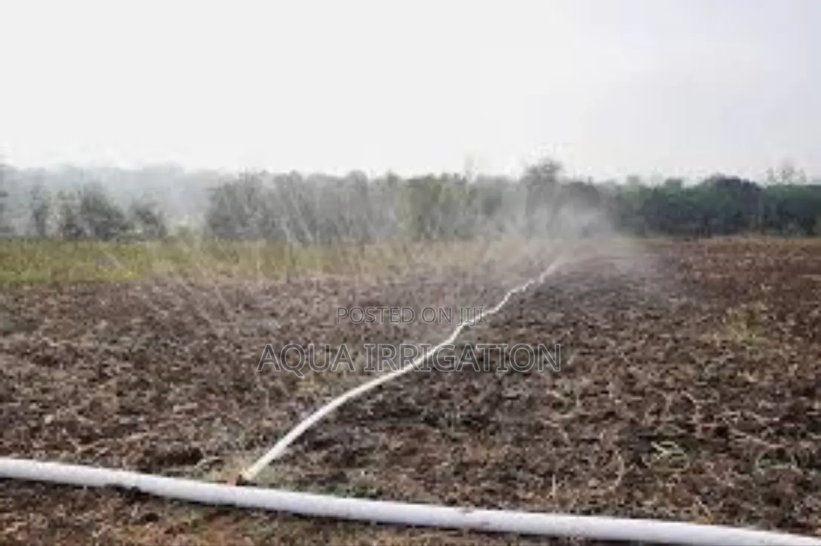 No More Overwatering – Rain Horse Delivers!