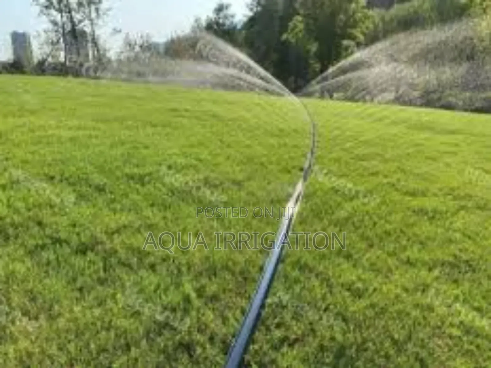 Take Control of Your Watering With Rain Horse