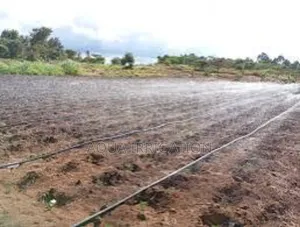 Rain Horse: The Key to Sustainable Agriculture