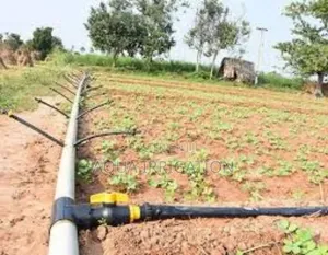 Healthy Plants, Happy Farmers – Choose Rain Horse!