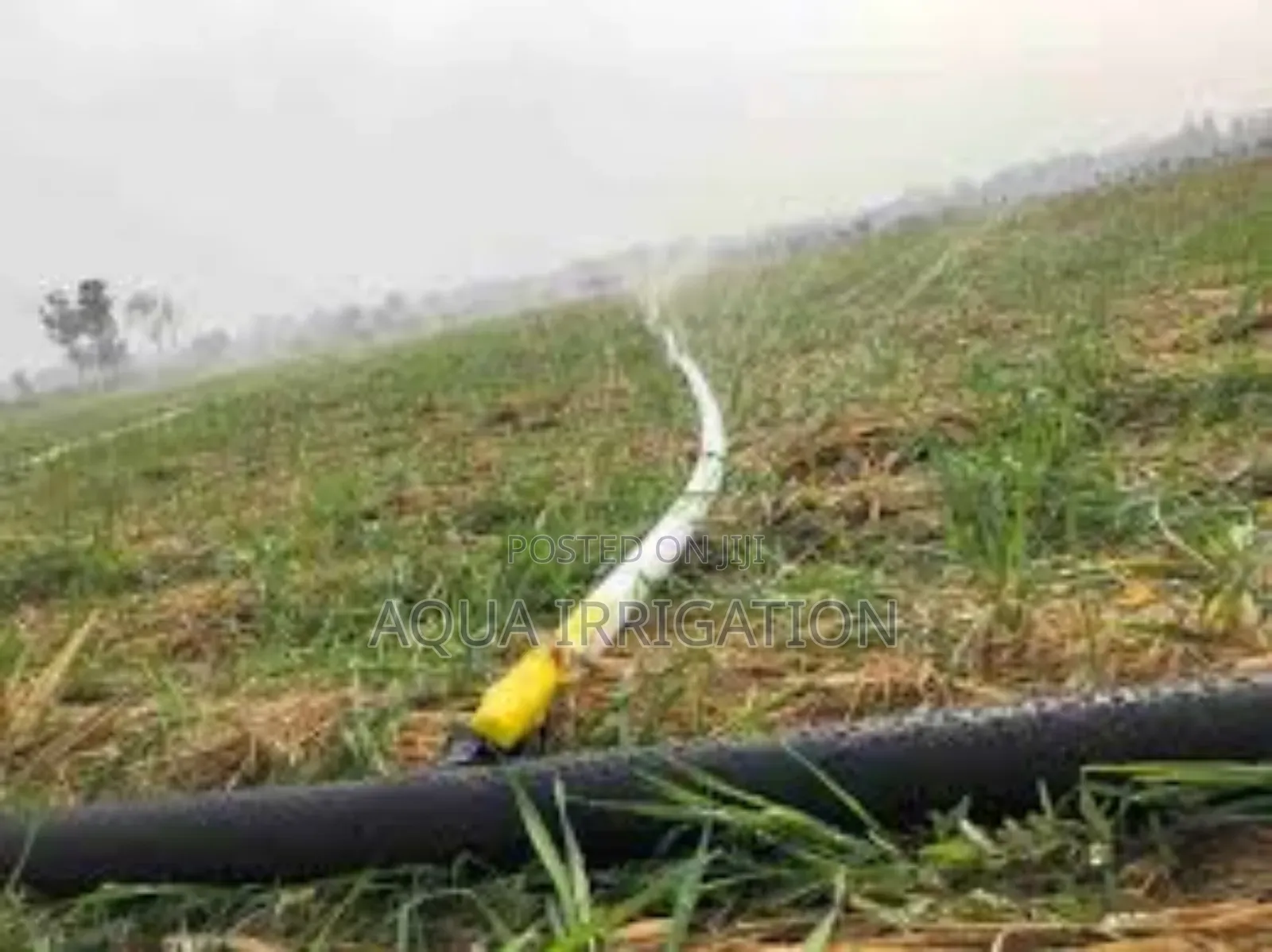Efficient Watering Solutions for Maximum Growth