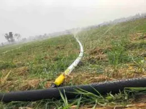 Efficient Watering Solutions for Maximum Growth