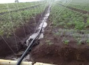 Sustainable Farming Starts With Rain Horse!