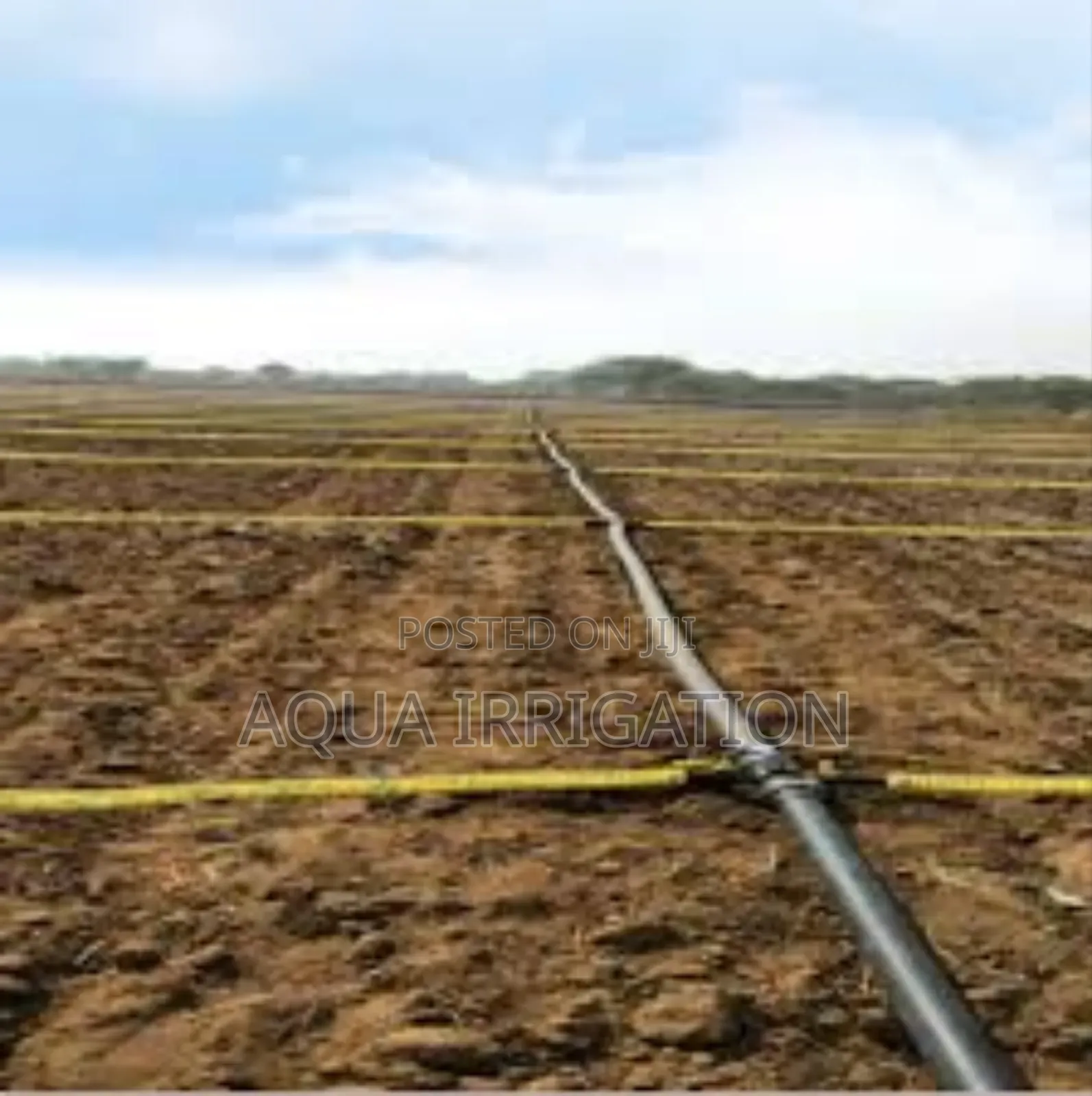 Rain Horse: The Future of Smart Irrigation