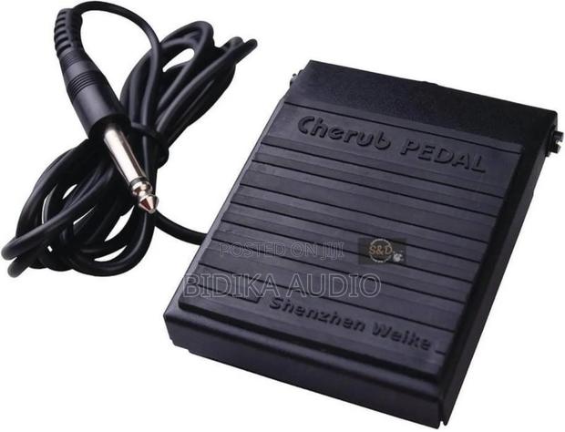 Original Sustain Pedal Tb-004