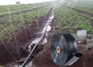 Save Water, Boost Profits – Rain Horse!