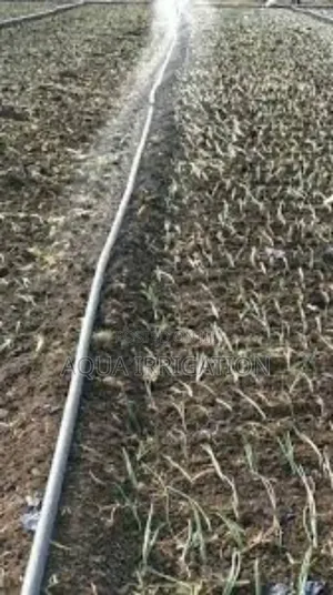 Rain Horse: A Smarter Way to Irrigate