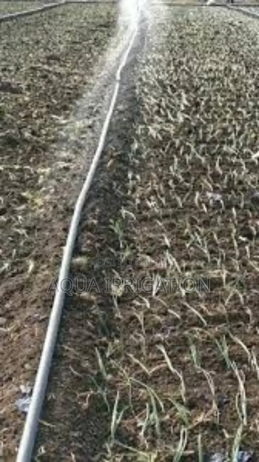 Rain Horse: A Smarter Way to Irrigate