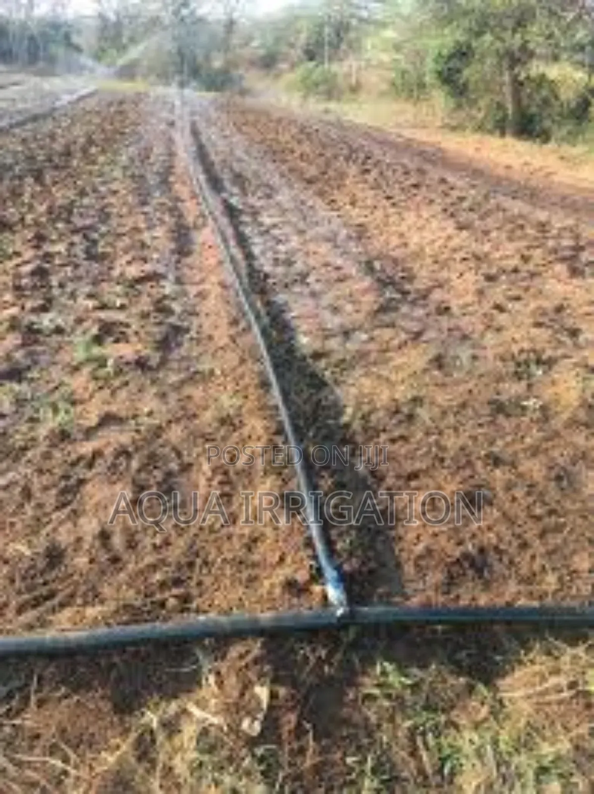 Rain Horse: Keep Your Fields Flourishing
