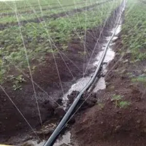 Rain Horse: Your Farm’S Best Investment
