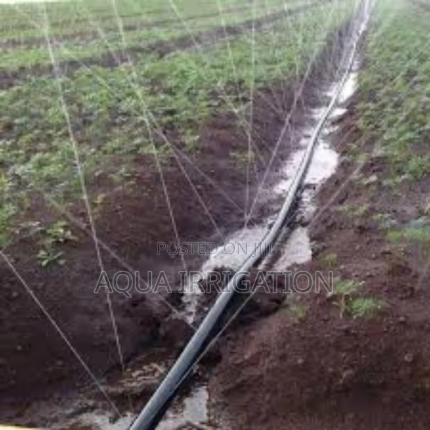 Rain Horse: Your Farm’S Best Investment