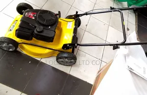 Lawn Mower 139cc Wasp Brand