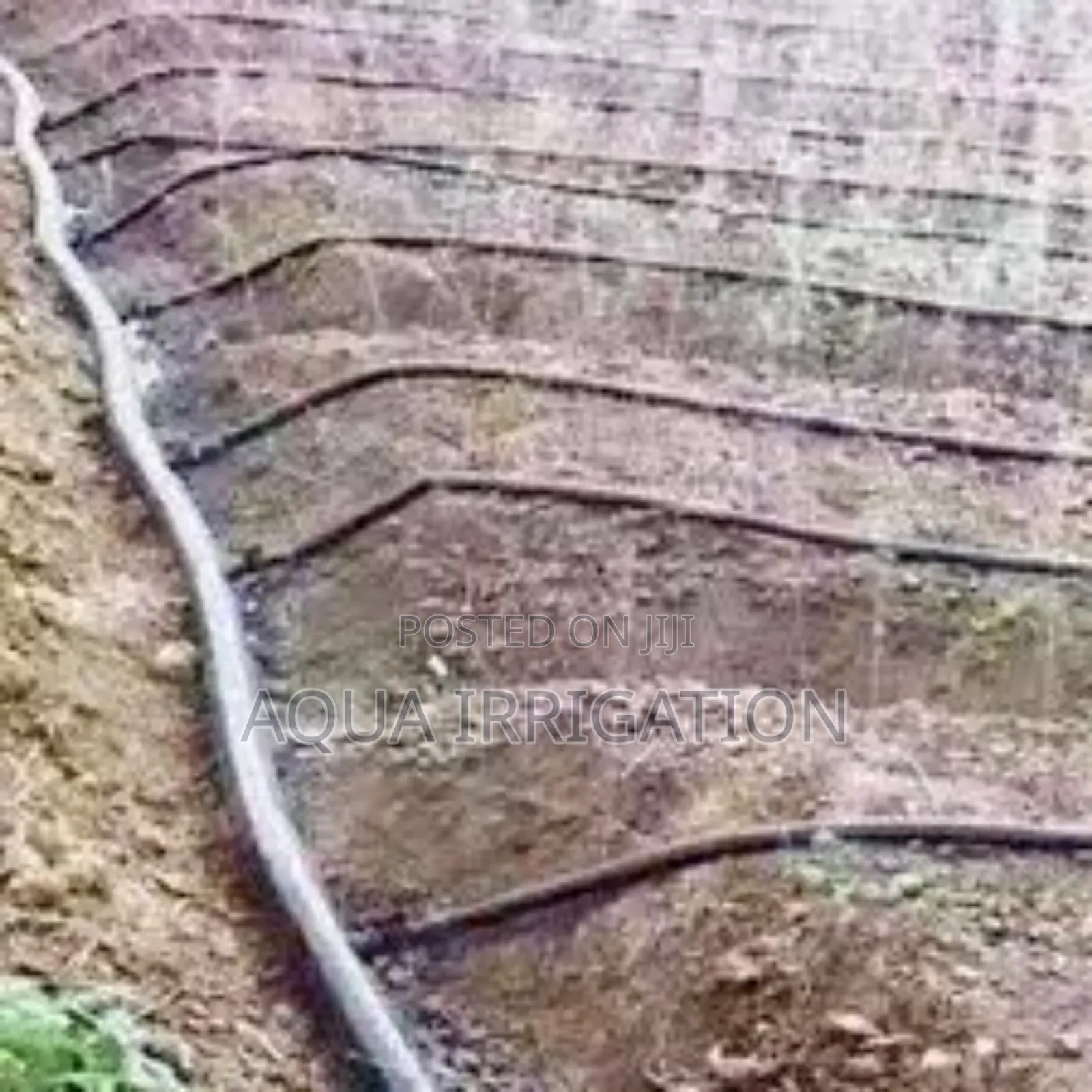 Rain Horse: Where Water Meets Innovation