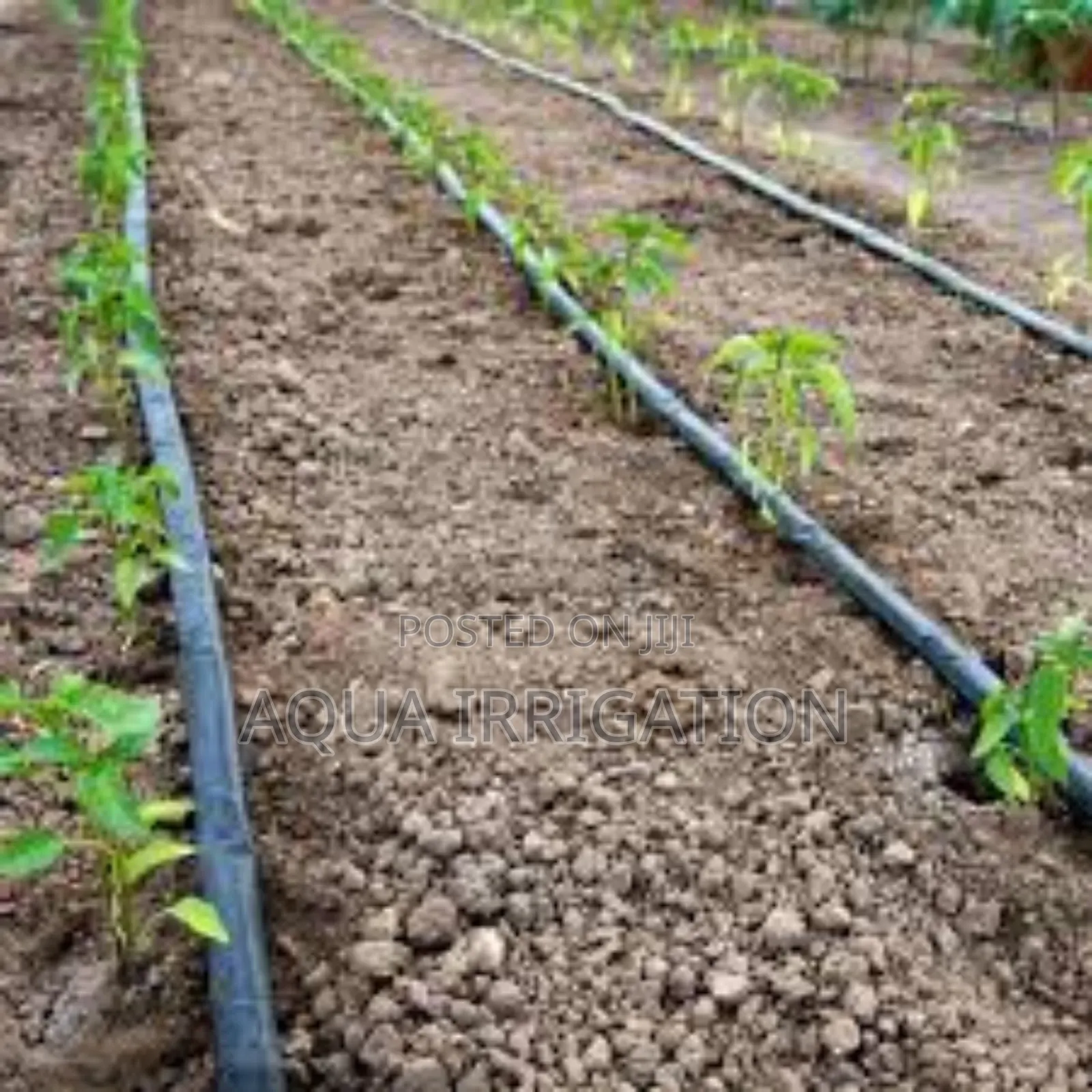 Rain Horse: Irrigation That Works for You