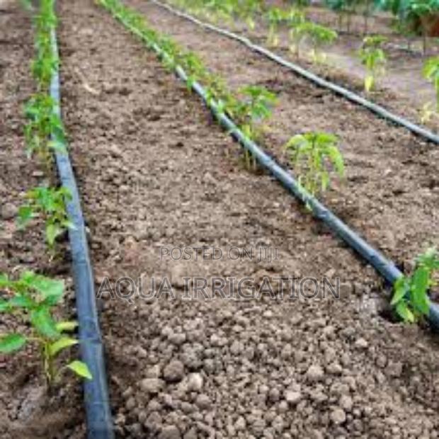 Rain Horse: Irrigation That Works for You