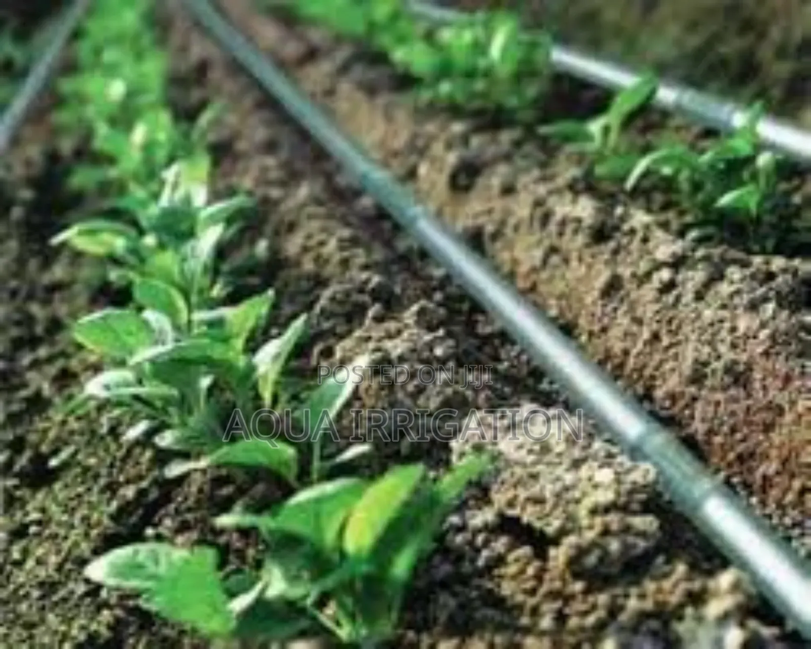 Smart Solutions for Smarter Farmers