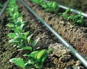 Smart Solutions for Smarter Farmers