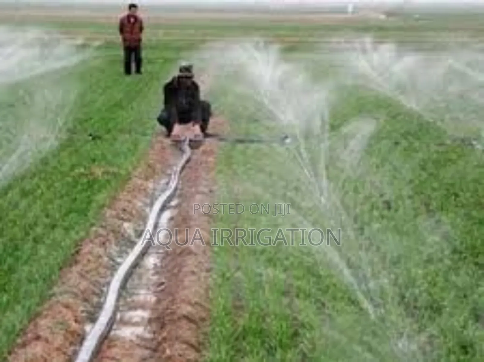 Water Management Made Simple – Rain Horse