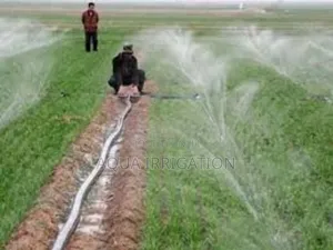 Water Management Made Simple – Rain Horse