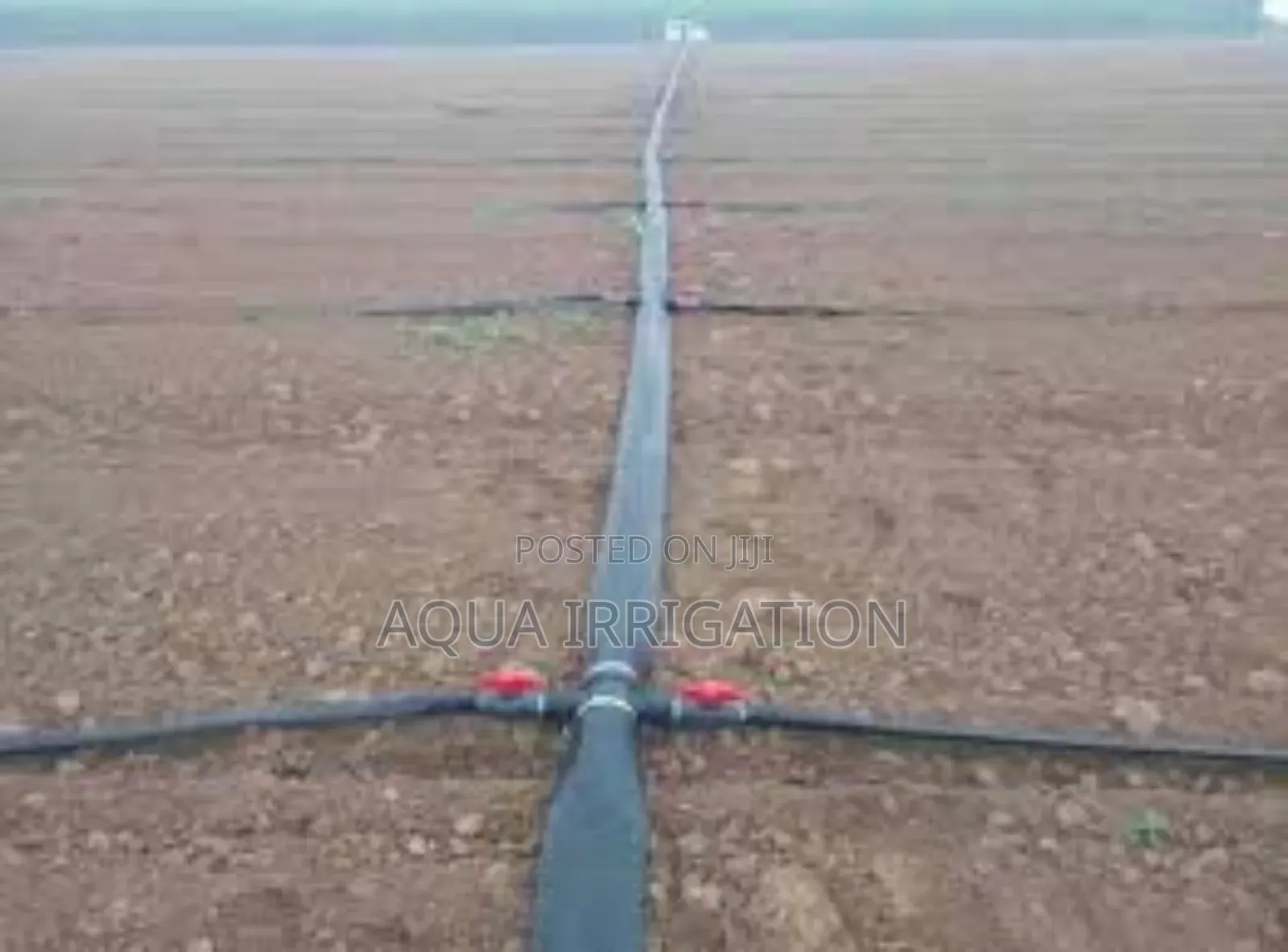 Healthy Crops, Efficient Watering – Rain Horse