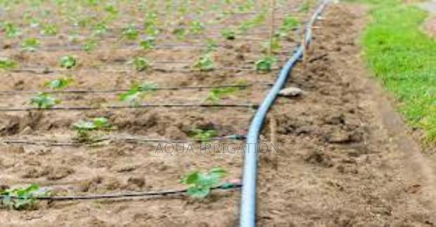 Rain Horse: Maximizing Water for Maximum Yield - main view