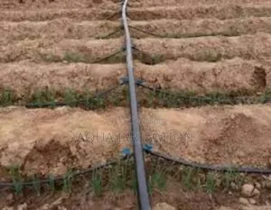 Water Smarter, Grow Stronger – Rain Horse