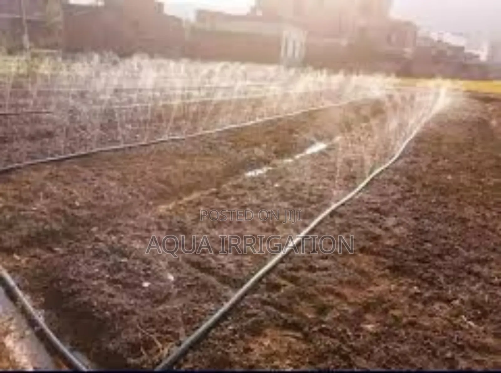 Rain Horse: Your Fields Deserve the Best!