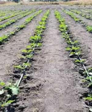 Water Smarter, Harvest Better – Rain Horse