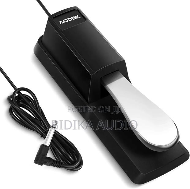 Brand New Sustain Pedal Tb-005