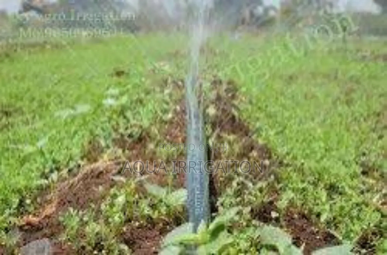 Smarter Irrigation for a Greener Tomorrow