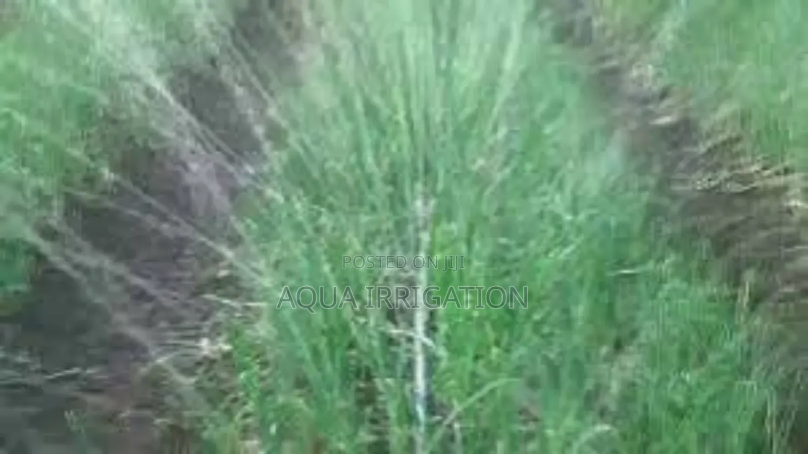 Smart Farming, Smart Watering – Rain Horse!