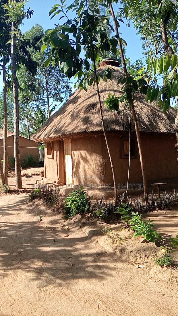 Land for Sale in Malava - thumbnail 2