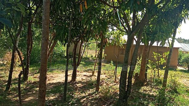 Land for Sale in Malava - thumbnail 3