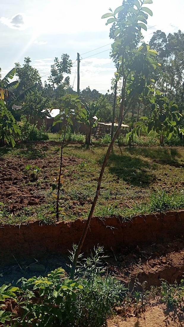 Land for Sale in Malava - thumbnail 4