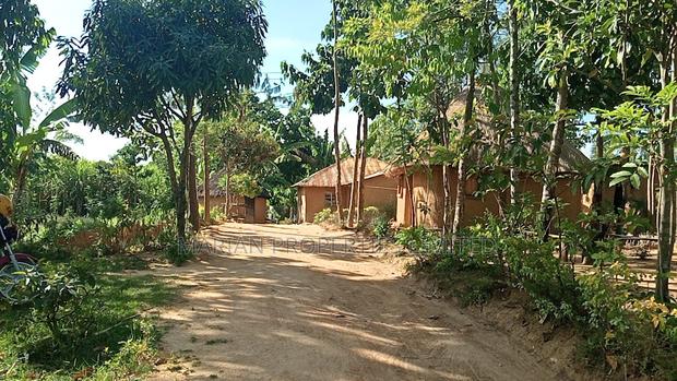 Land for Sale in Malava - thumbnail 5