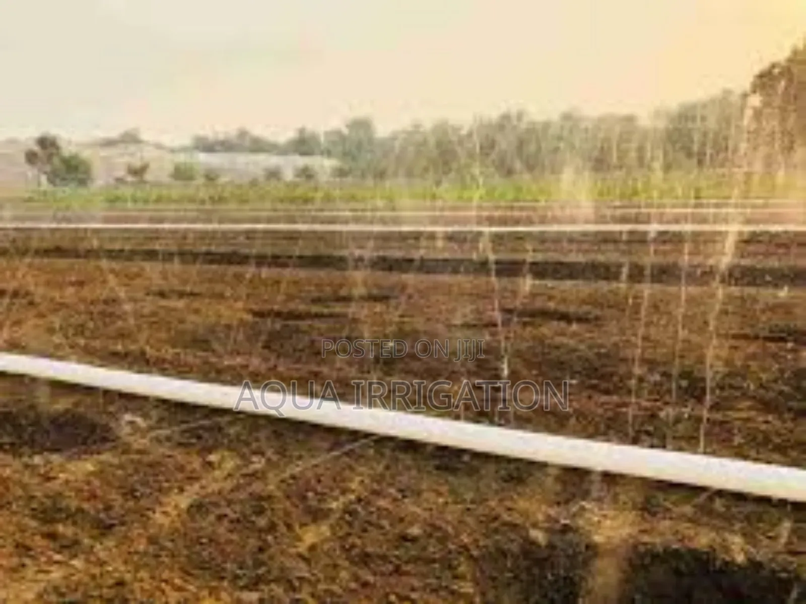 Rain Horse: More Growth, Less Waste!