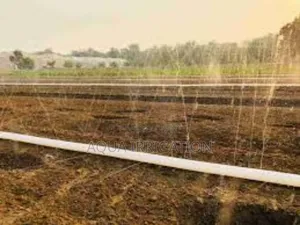Rain Horse: More Growth, Less Waste!