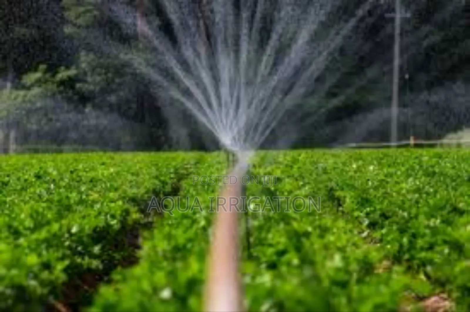 Sustainable Irrigation, Profitable Harvests!