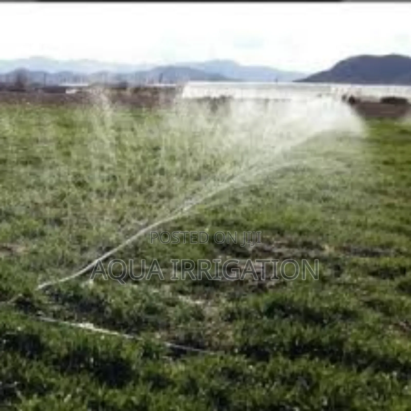 Precision Watering for Maximum Growth
