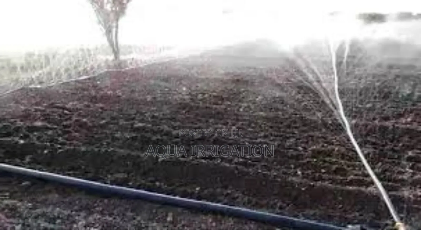 Rain Horse: Maximum Efficiency, Maximum Yield