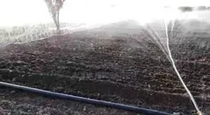 Rain Horse: Maximum Efficiency, Maximum Yield