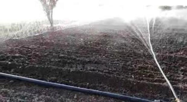 Rain Horse: Maximum Efficiency, Maximum Yield - main view