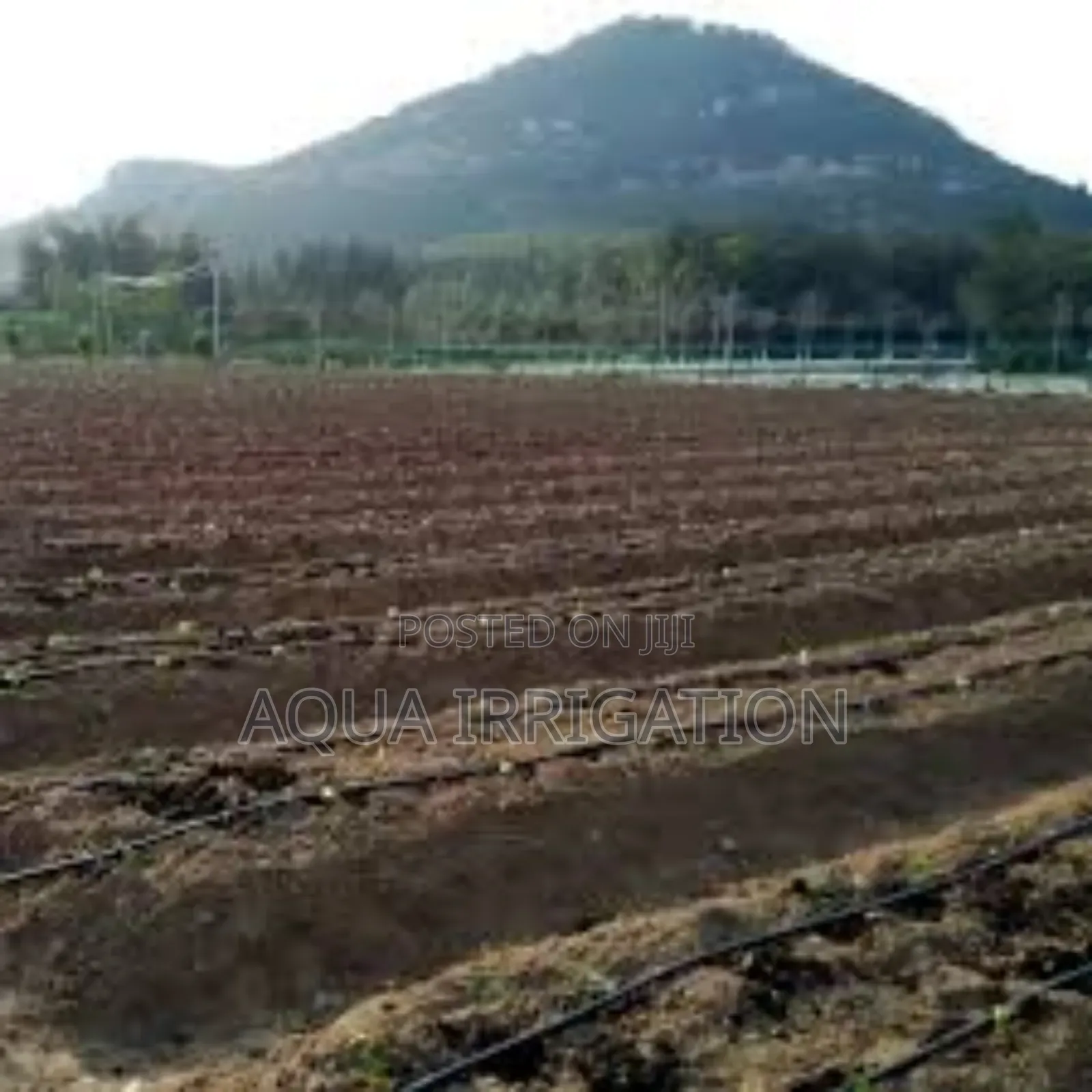 Rain Horse: Smarter Irrigation, Stronger Crops