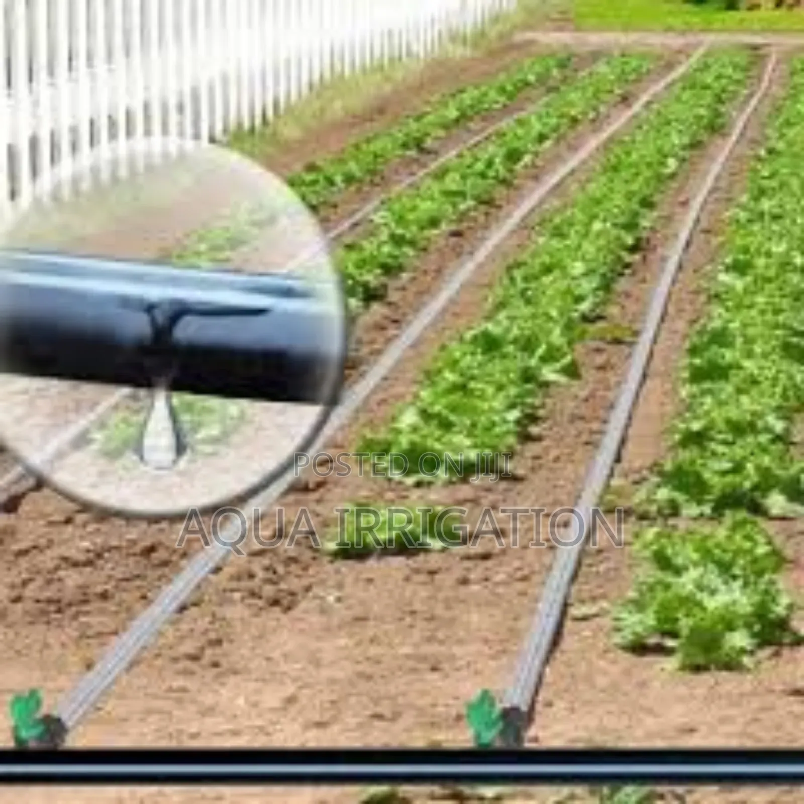 Rain Horse: Better Watering, Better Harvests