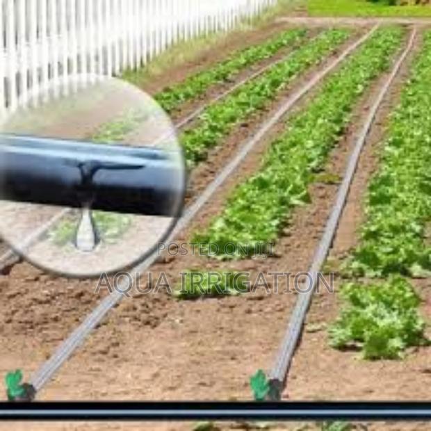 Rain Horse: Better Watering, Better Harvests