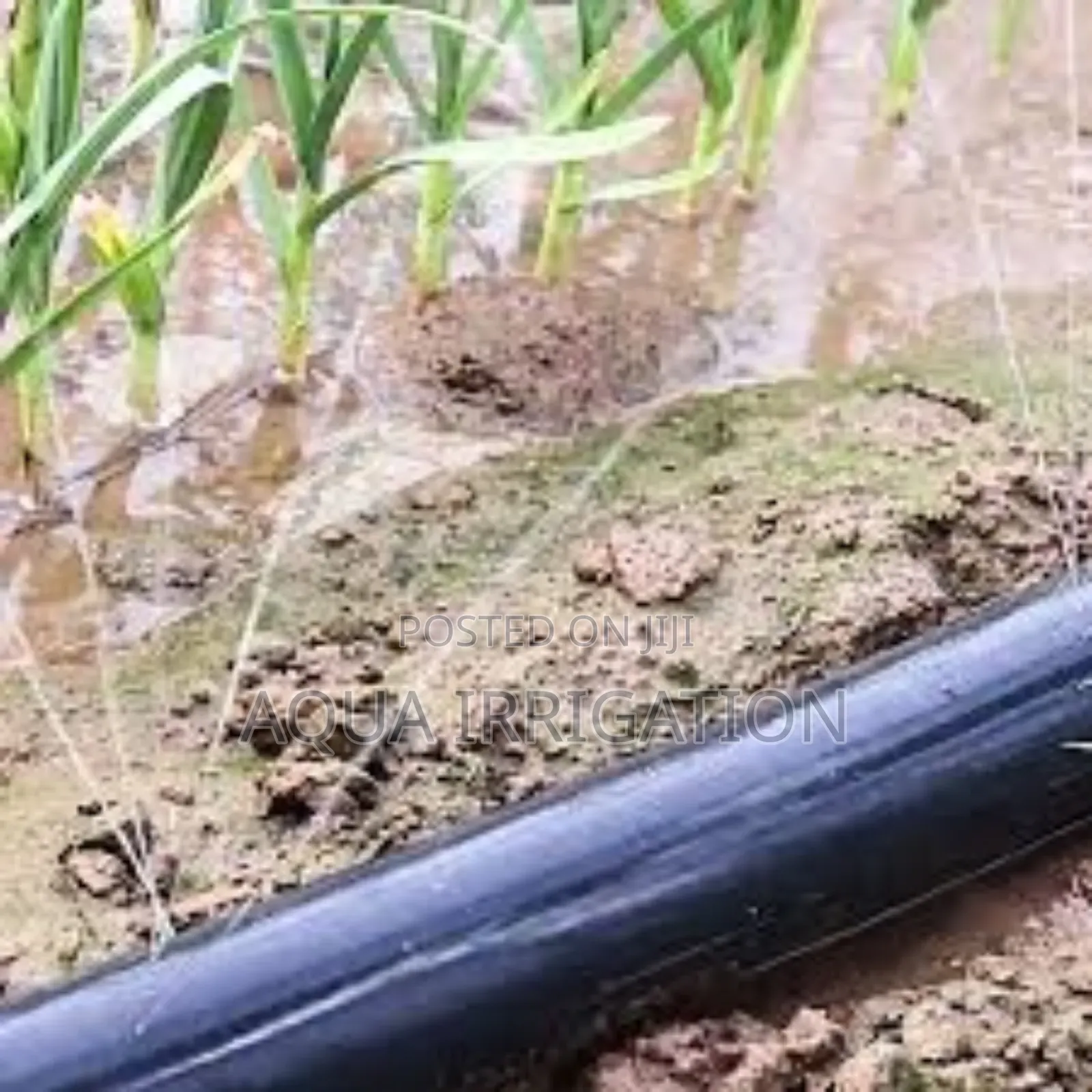 Efficient Irrigation, Bigger Harvests