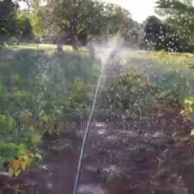 Maximize Every Drop, Grow With Rain Horse