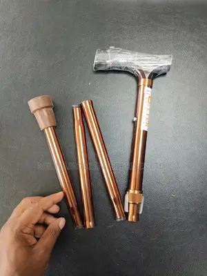 Walking Stick Foldable (Fs-927l/Jn655l)