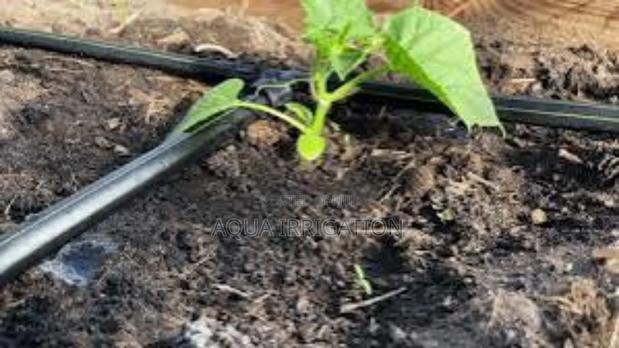 Save Water, Boost Yields With Drip Irrigation - main view
