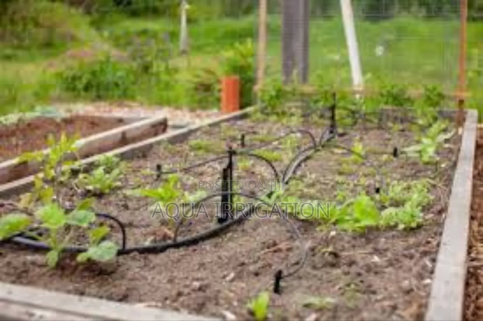 Water Smarter, Grow Stronger With Drip Lines!